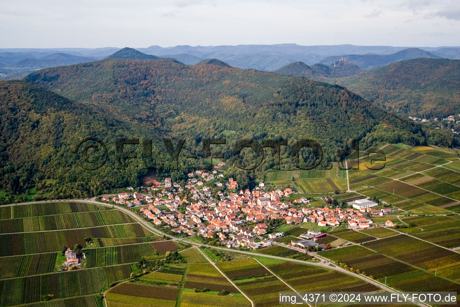 Vue aérienne de Vignobles au pied du Haardtrand de la forêt du Palatinat à Eschbach dans le département Rhénanie-Palatinat, Allemagne