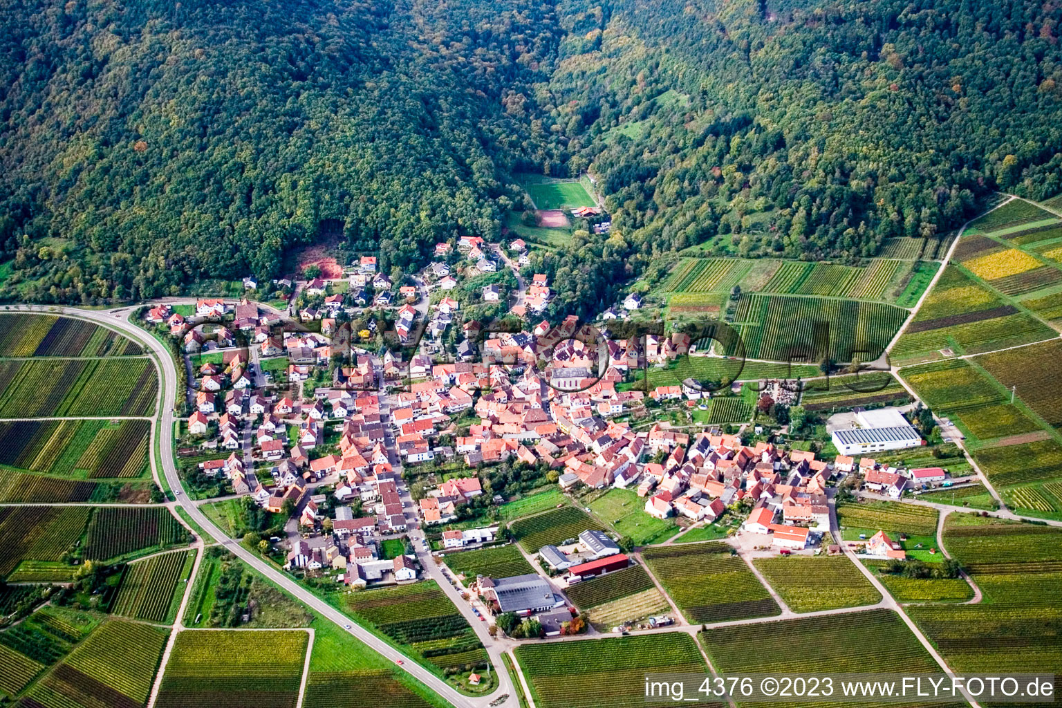 Vue aérienne de De l'est à Eschbach dans le département Rhénanie-Palatinat, Allemagne