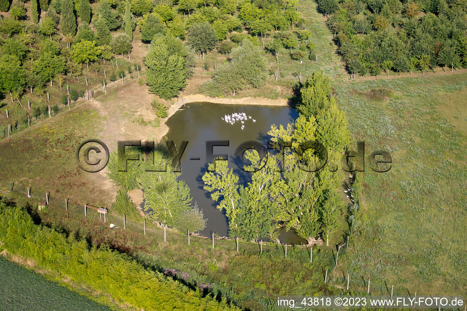Photographie aérienne de Creti dans le département Toscane, Italie