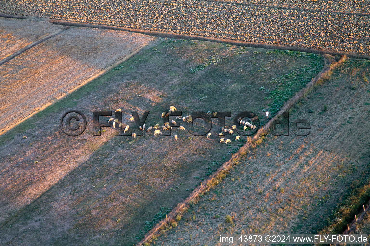 Enregistrement par drone de Castroncello dans le département Toscane, Italie