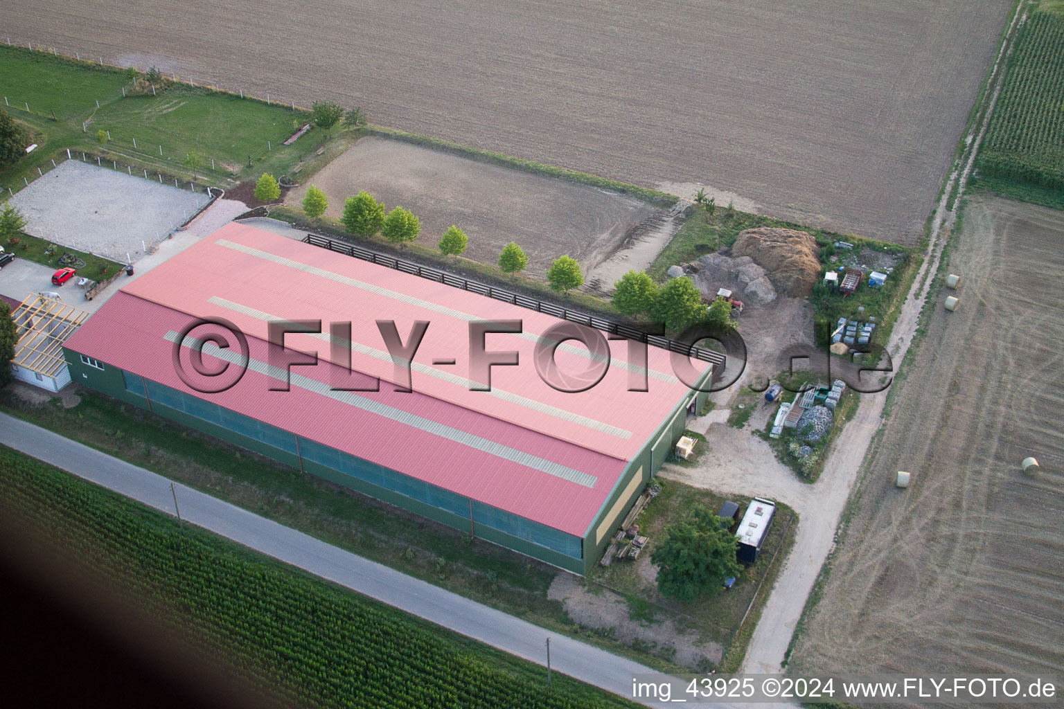 Cour à poulains à Steinweiler dans le département Rhénanie-Palatinat, Allemagne depuis l'avion