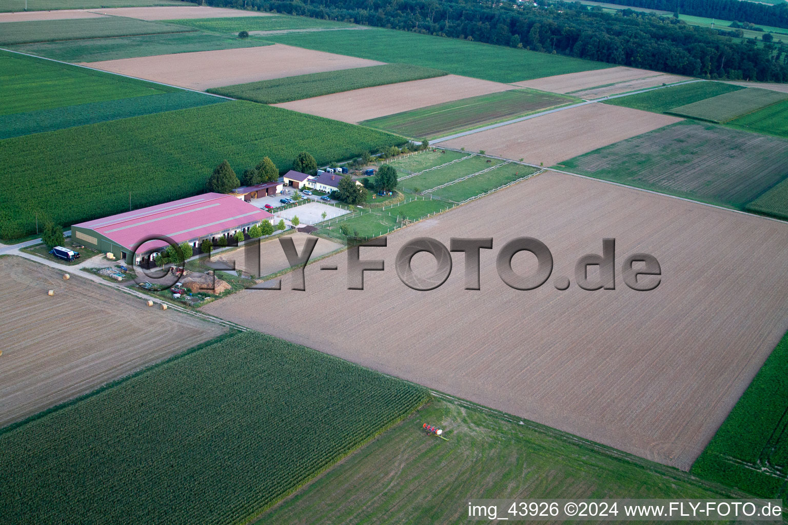 Vue d'oiseau de Cour à poulains à Steinweiler dans le département Rhénanie-Palatinat, Allemagne