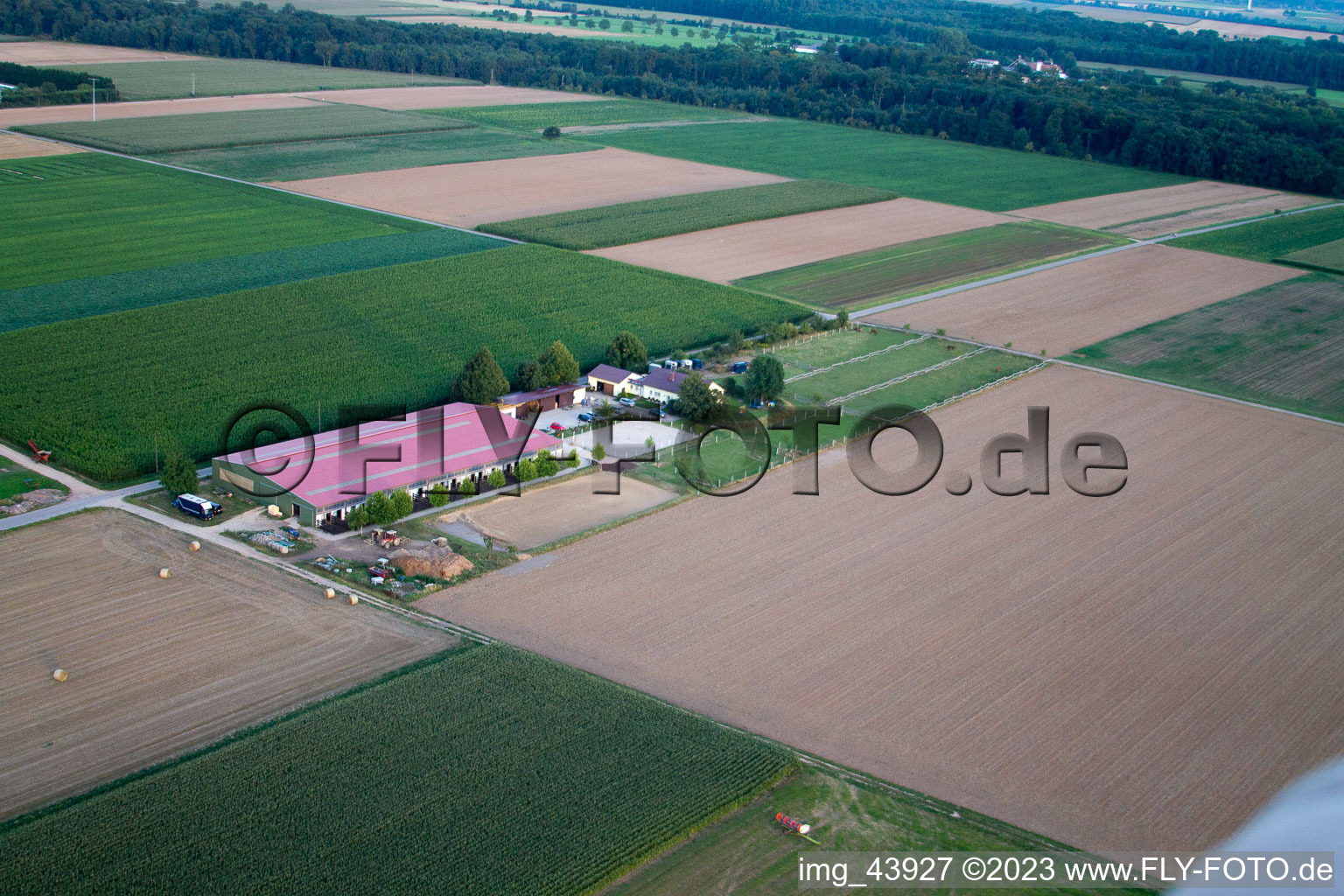 Cour à poulains à Steinweiler dans le département Rhénanie-Palatinat, Allemagne vue du ciel