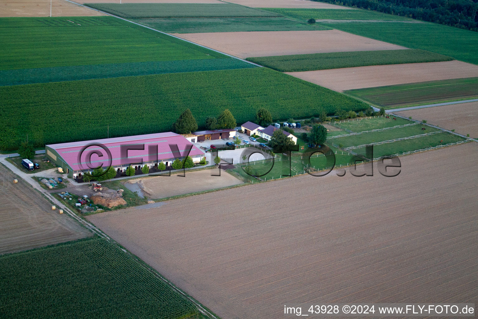 Enregistrement par drone de Cour à poulains à Steinweiler dans le département Rhénanie-Palatinat, Allemagne