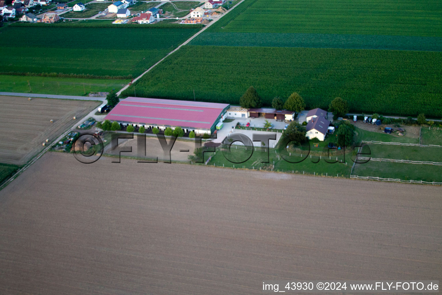 Cour à poulains à Steinweiler dans le département Rhénanie-Palatinat, Allemagne du point de vue du drone