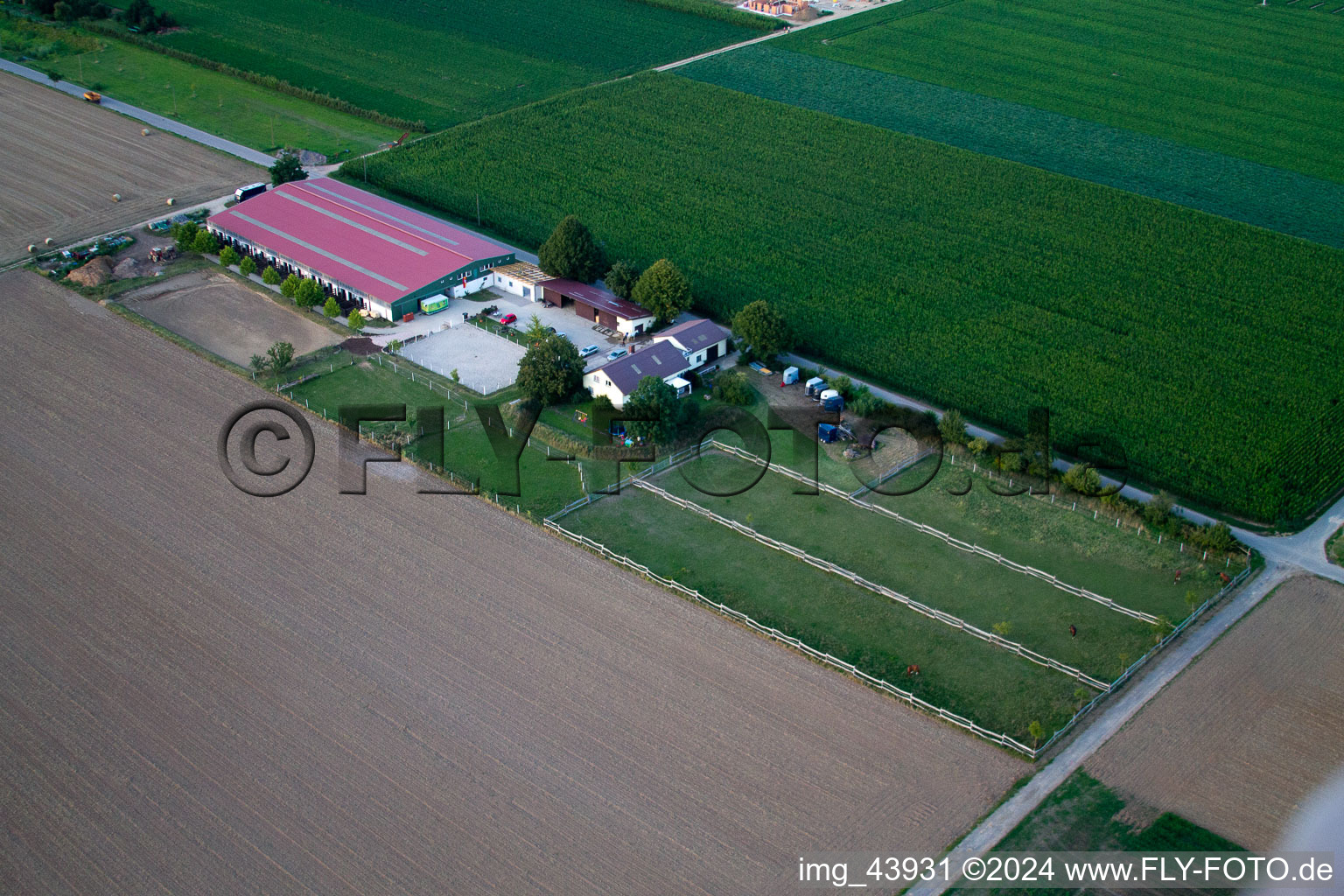 Cour à poulains à Steinweiler dans le département Rhénanie-Palatinat, Allemagne d'un drone