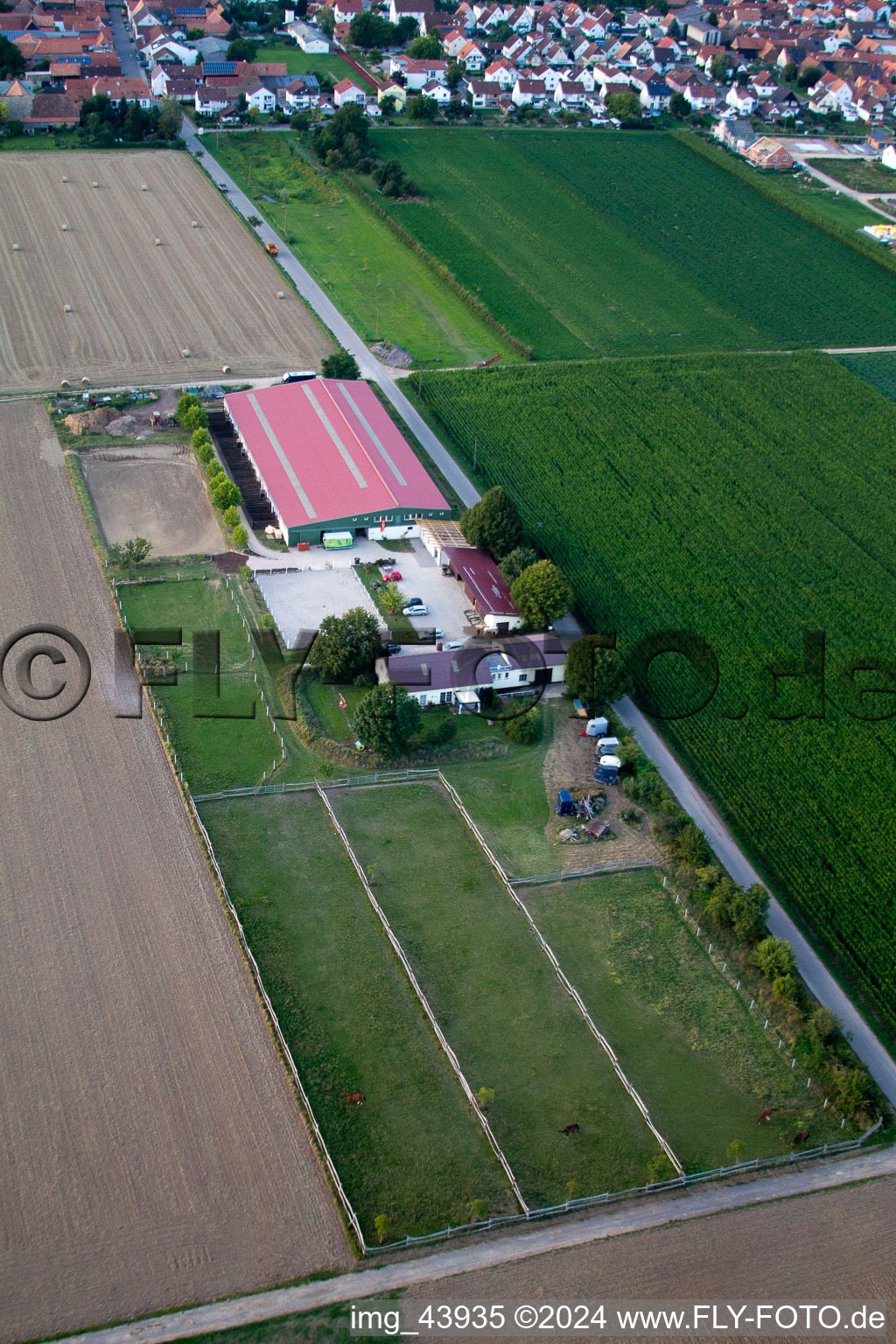 Vue oblique de Cour à poulains à Steinweiler dans le département Rhénanie-Palatinat, Allemagne