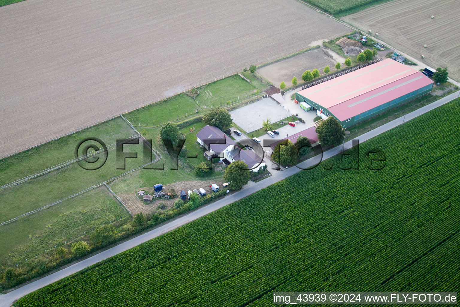 Cour à poulains à Steinweiler dans le département Rhénanie-Palatinat, Allemagne vue d'en haut