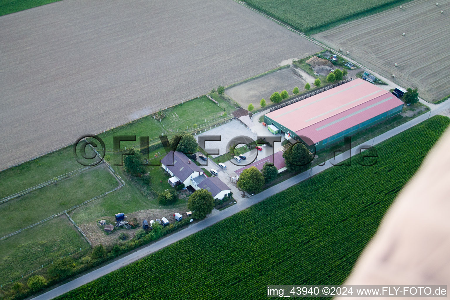 Cour à poulains à Steinweiler dans le département Rhénanie-Palatinat, Allemagne depuis l'avion