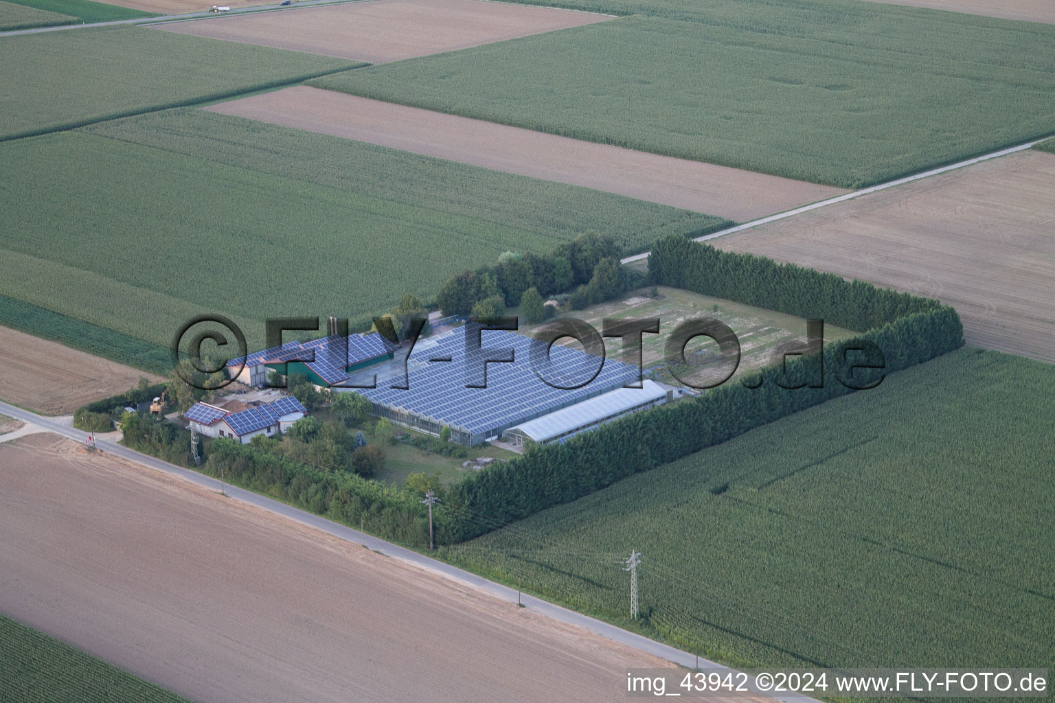 Sudètes à Steinweiler dans le département Rhénanie-Palatinat, Allemagne depuis l'avion