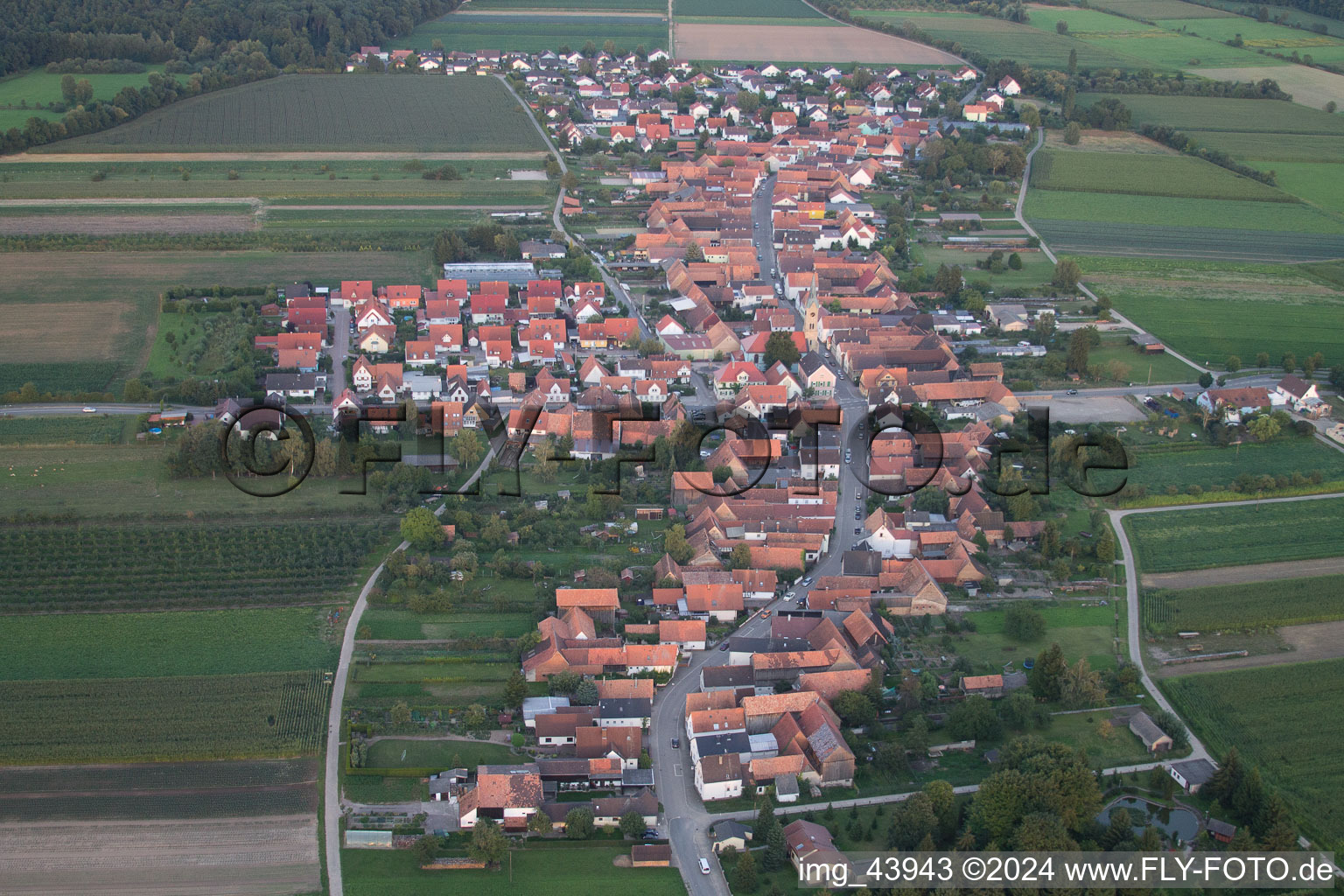 Erlenbach bei Kandel dans le département Rhénanie-Palatinat, Allemagne vue d'en haut