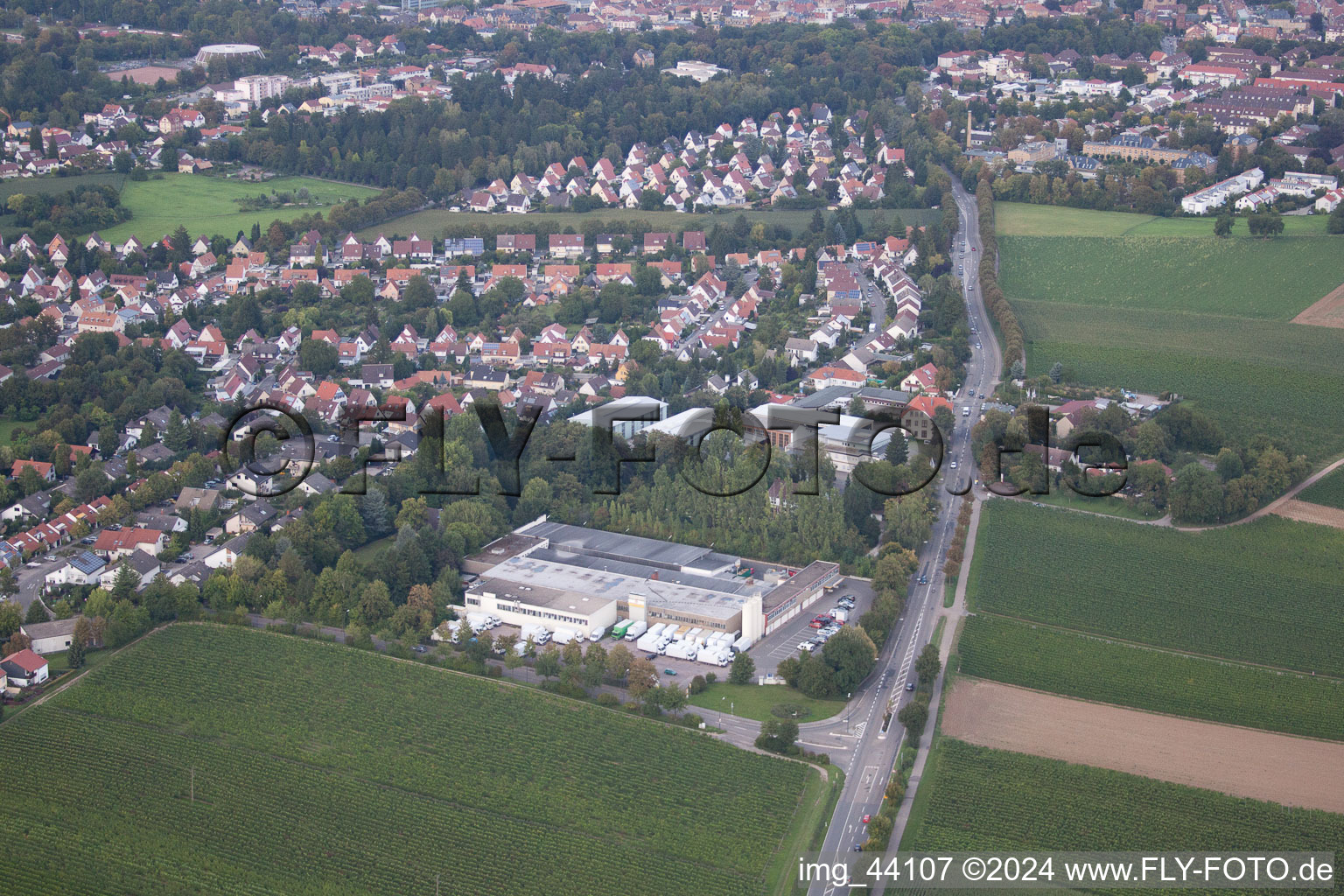 Image drone de Landau in der Pfalz dans le département Rhénanie-Palatinat, Allemagne