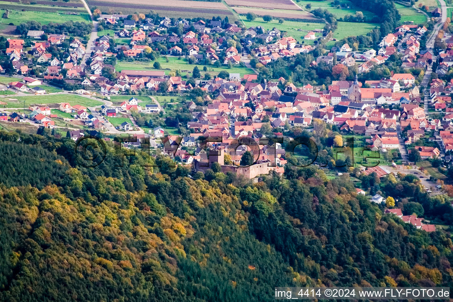 Photographie aérienne de Ruines de Landeck à Klingenmünster dans le département Rhénanie-Palatinat, Allemagne