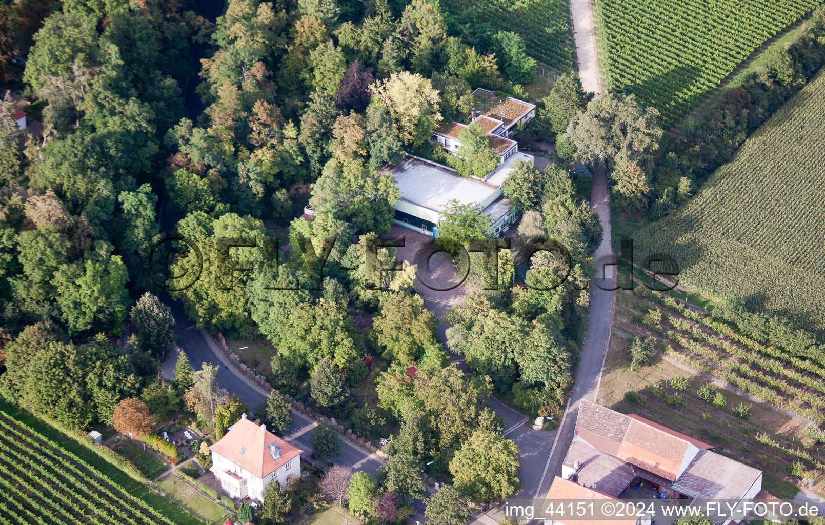 Locaux de l'entreprise SEKA Schutzbeventil GmbH avec halls, bâtiments d'entreprise et installations de production à le quartier Wollmesheim in Landau in der Pfalz dans le département Rhénanie-Palatinat, Allemagne depuis l'avion