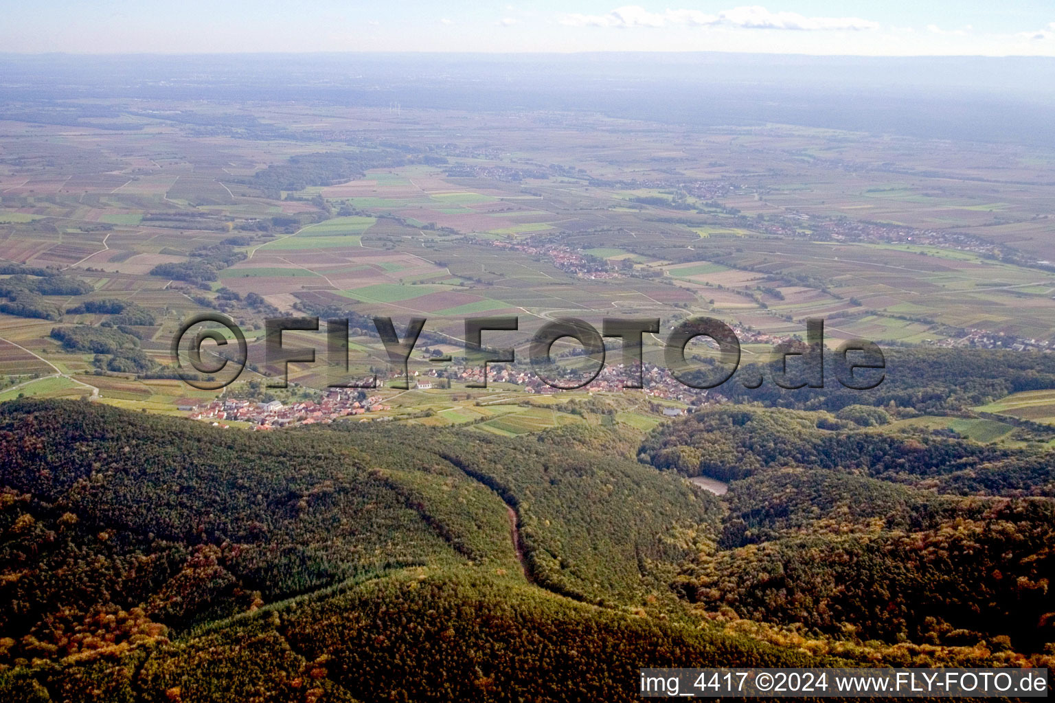 Vue aérienne de Cellules de suivi-Gleishohrbach à le quartier Gleishorbach in Gleiszellen-Gleishorbach dans le département Rhénanie-Palatinat, Allemagne