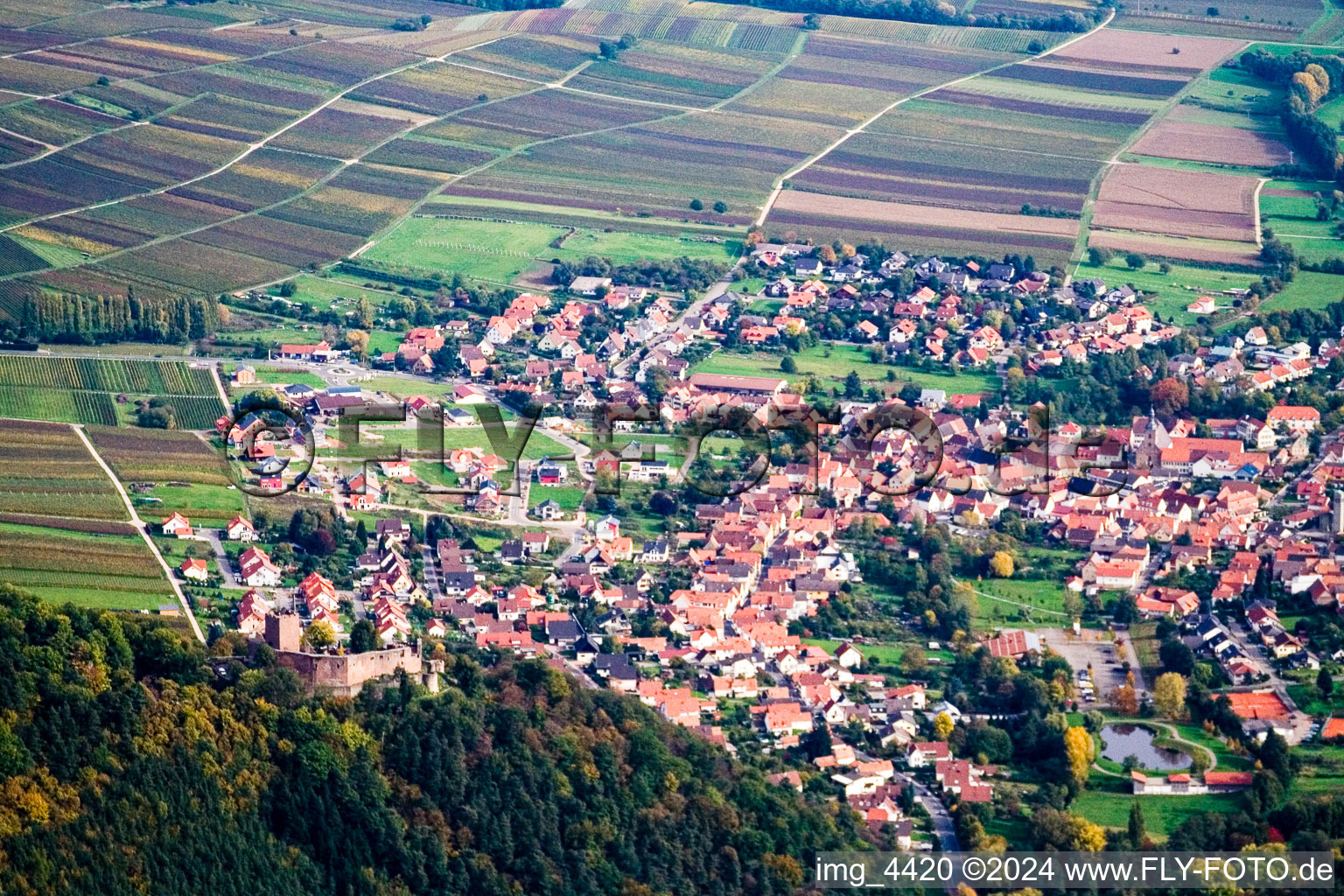 Vue aérienne de De l'ouest à Klingenmünster dans le département Rhénanie-Palatinat, Allemagne