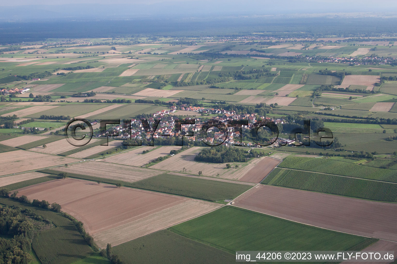 Barbelroth dans le département Rhénanie-Palatinat, Allemagne hors des airs