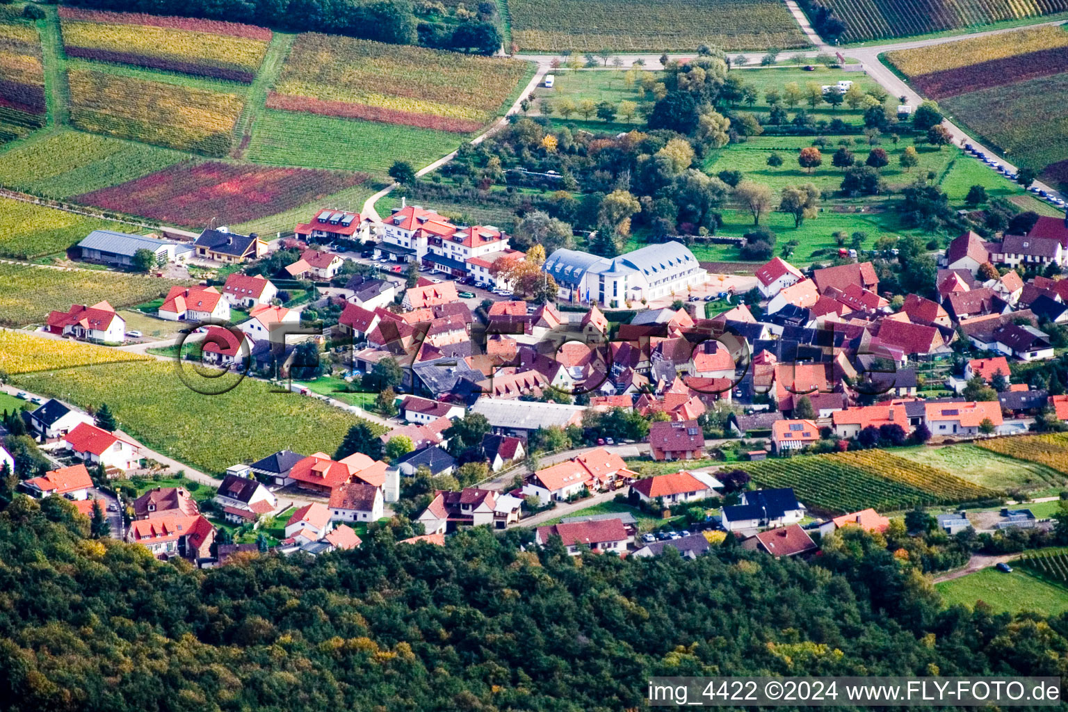 Vue aérienne de De l'ouest à Klingenmünster dans le département Rhénanie-Palatinat, Allemagne