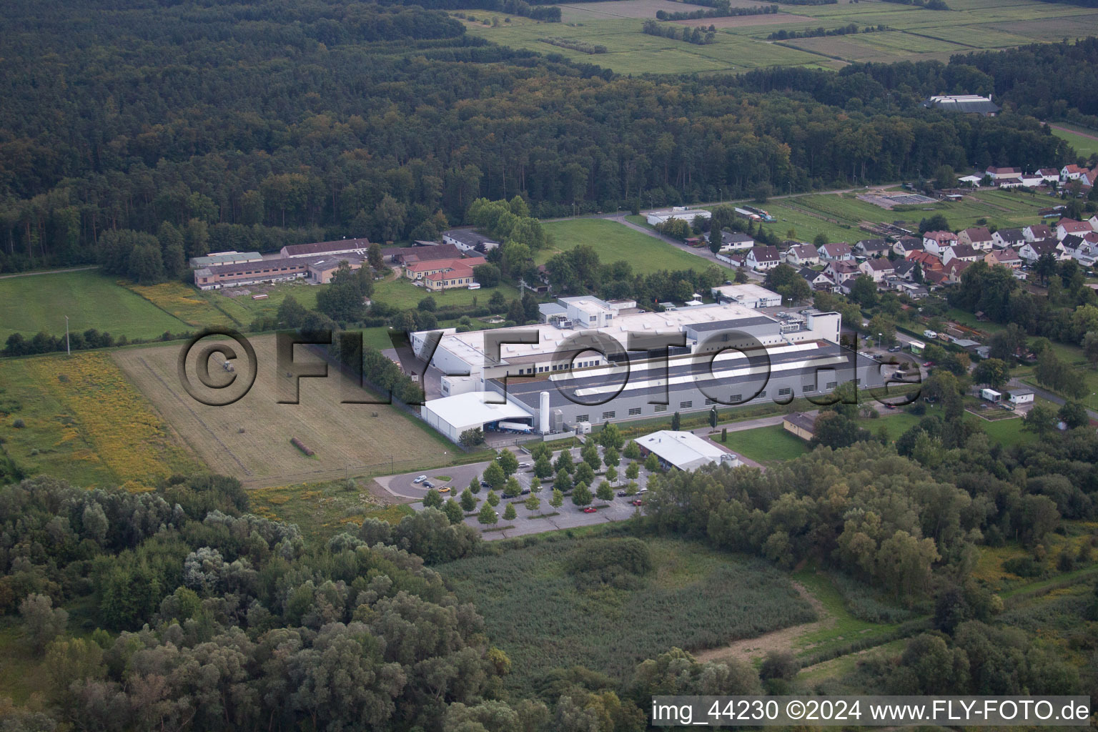 Quartier Schaidt in Wörth am Rhein dans le département Rhénanie-Palatinat, Allemagne vue du ciel