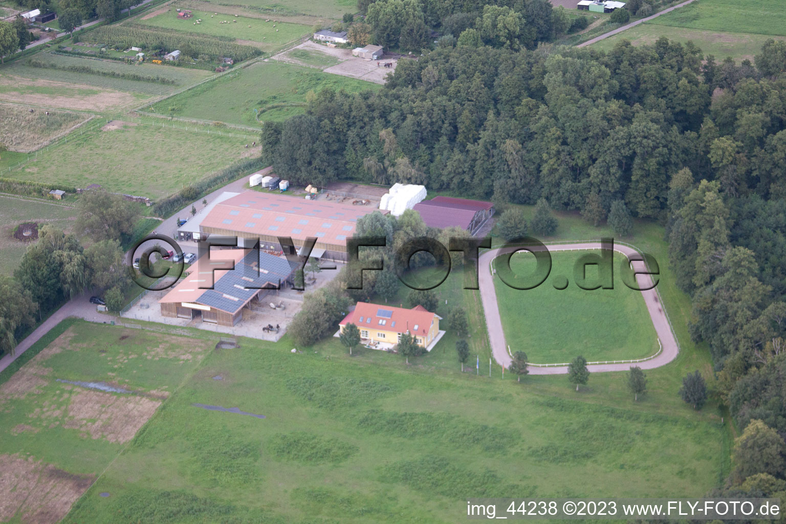 Freckenfeld dans le département Rhénanie-Palatinat, Allemagne vue d'en haut