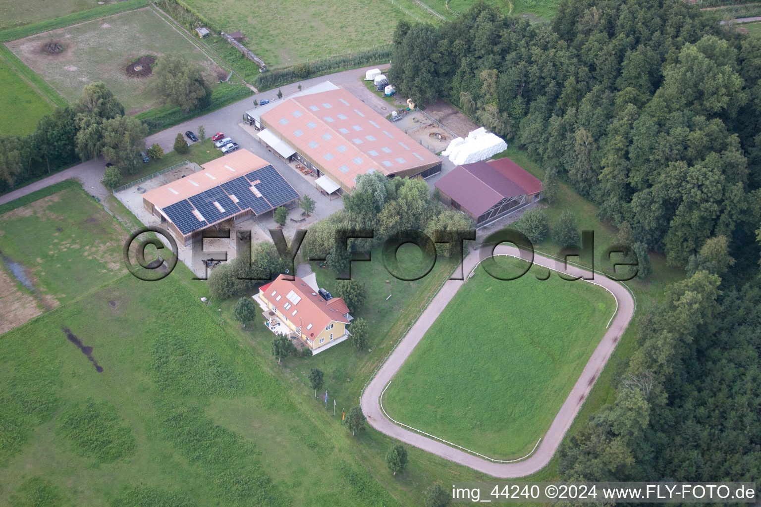 Freckenfeld dans le département Rhénanie-Palatinat, Allemagne depuis l'avion