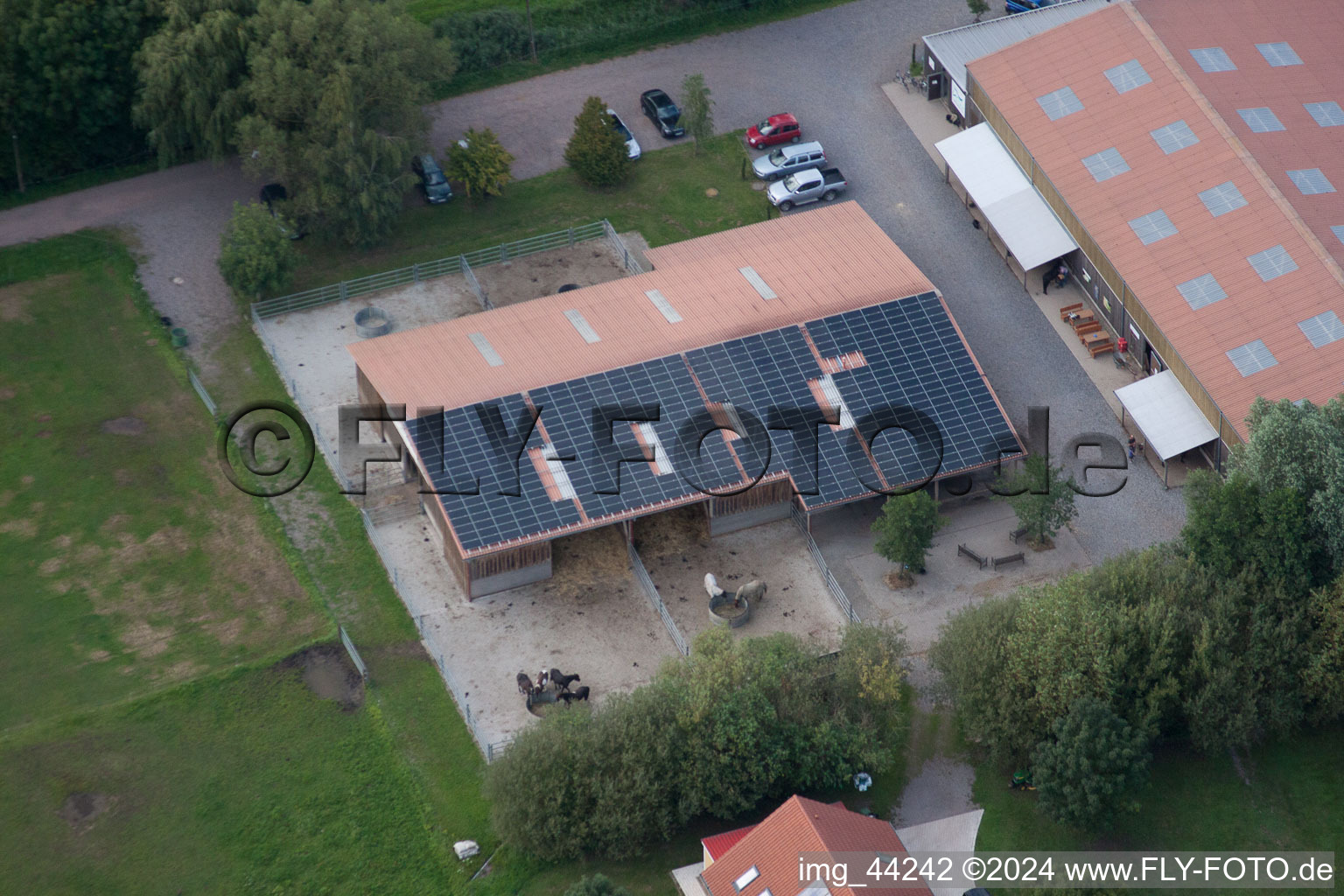 Freckenfeld dans le département Rhénanie-Palatinat, Allemagne vue du ciel