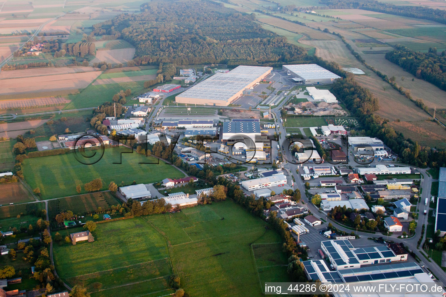 Vue aérienne de Zone industrielle de Horst à le quartier Minderslachen in Kandel dans le département Rhénanie-Palatinat, Allemagne