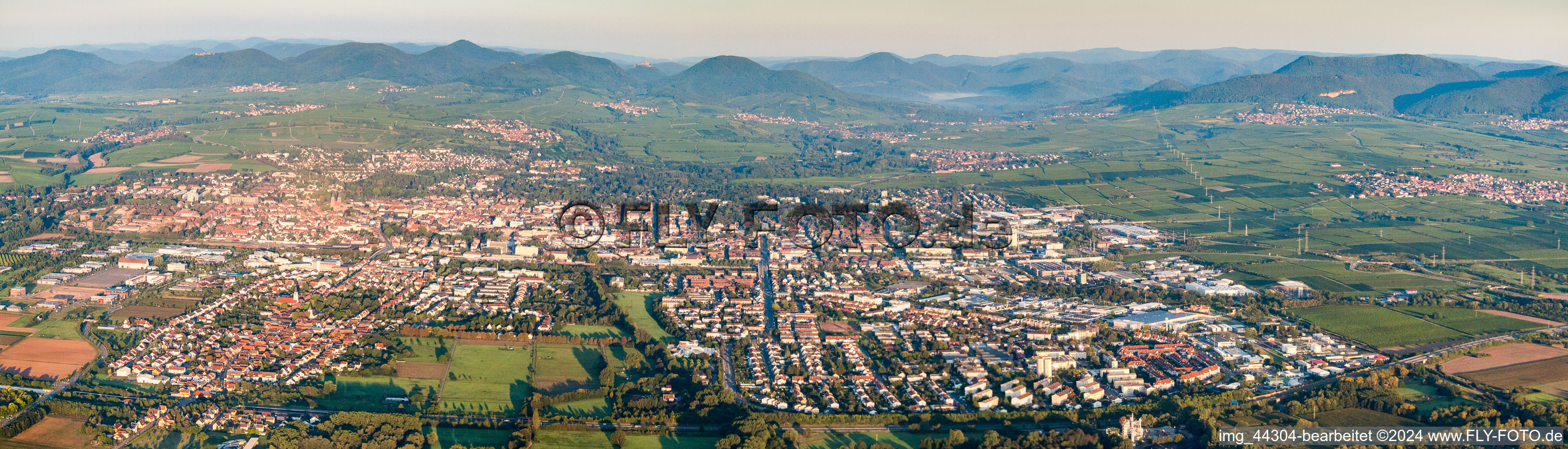 Photographie aérienne de Zone urbaine en perspective panoramique avec périphérie et centre-ville à le quartier Queichheim in Landau in der Pfalz dans le département Rhénanie-Palatinat, Allemagne