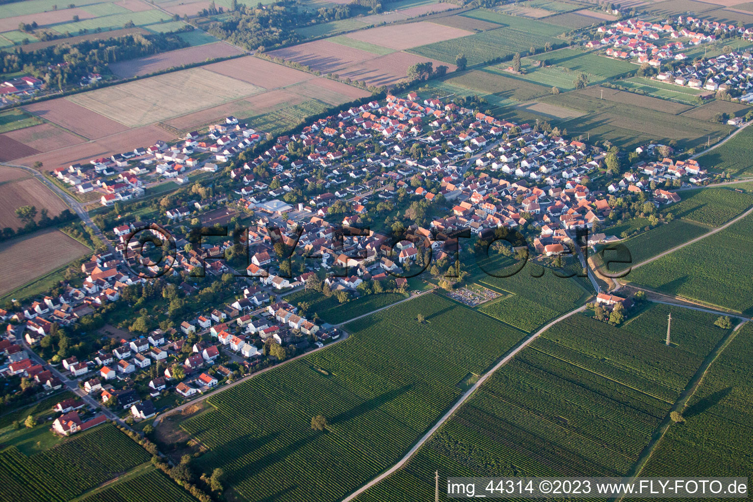 Essingen dans le département Rhénanie-Palatinat, Allemagne depuis l'avion