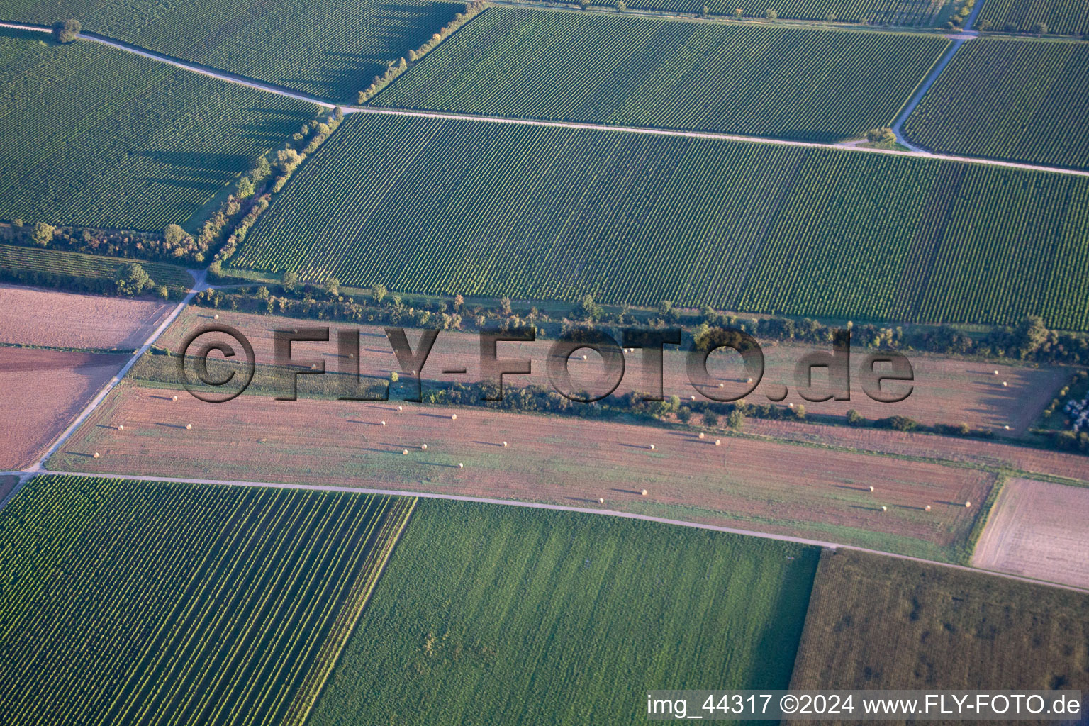 Image drone de Essingen dans le département Rhénanie-Palatinat, Allemagne