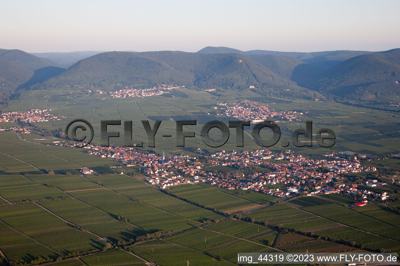 Edesheim dans le département Rhénanie-Palatinat, Allemagne du point de vue du drone