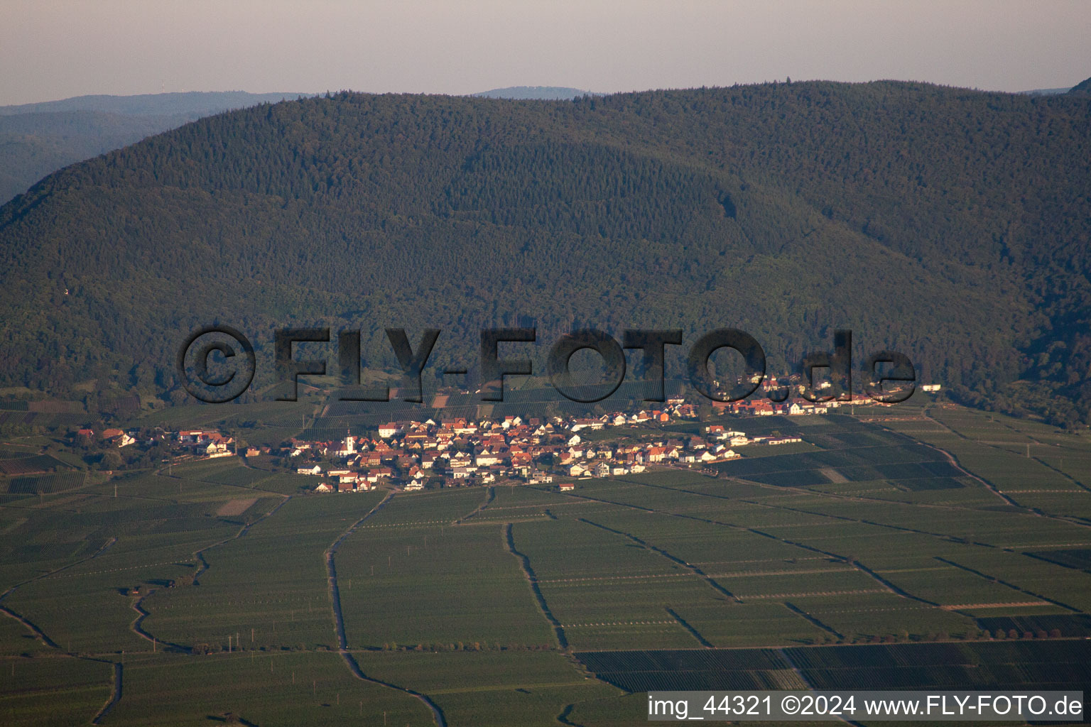 Edesheim dans le département Rhénanie-Palatinat, Allemagne d'un drone