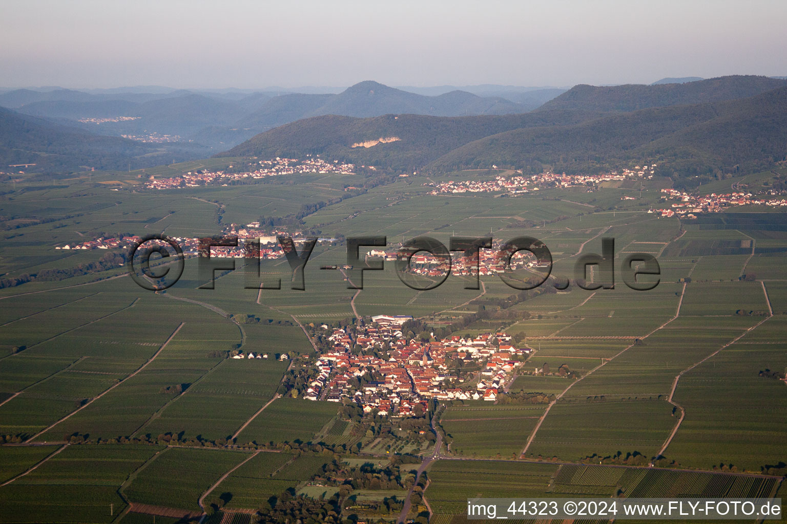 Vue aérienne de Edesheim dans le département Rhénanie-Palatinat, Allemagne