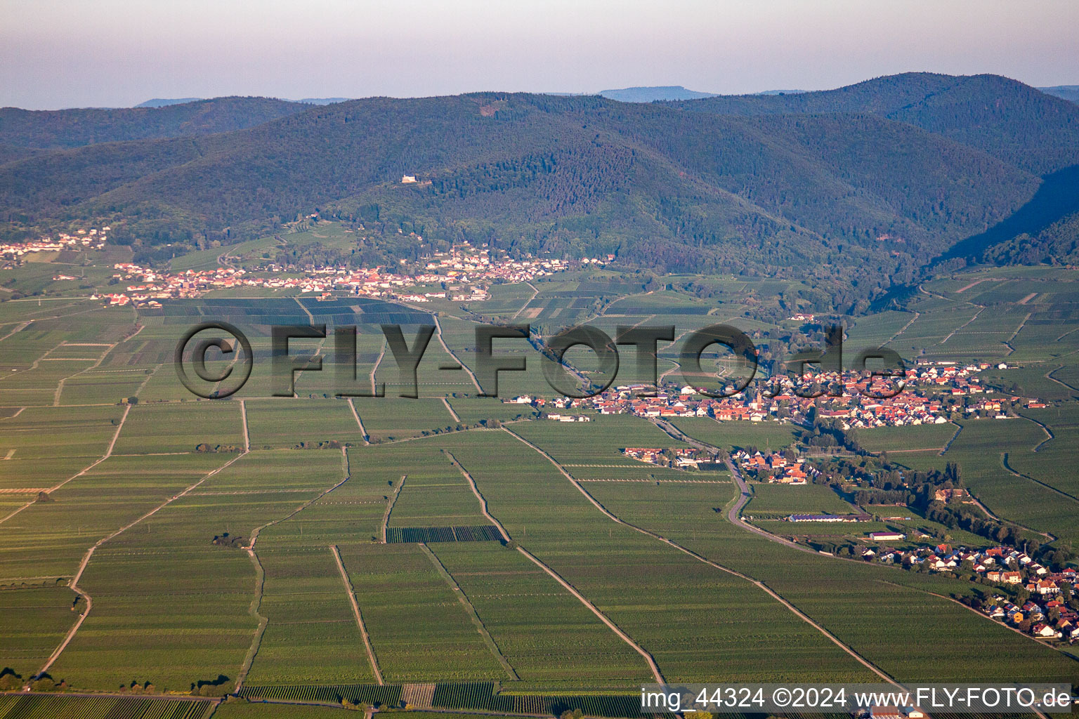 Vue aérienne de Burrweiler à Hainfeld dans le département Rhénanie-Palatinat, Allemagne