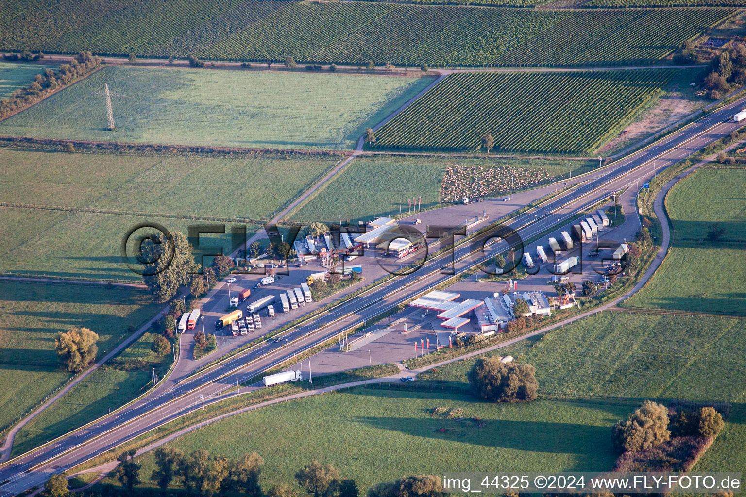 Vue aérienne de Aire d'autoroute Serways Pfälzer Weinstrasse le long de l'itinéraire de circulation et des directions du BAB 65 à Edesheim dans le département Rhénanie-Palatinat, Allemagne