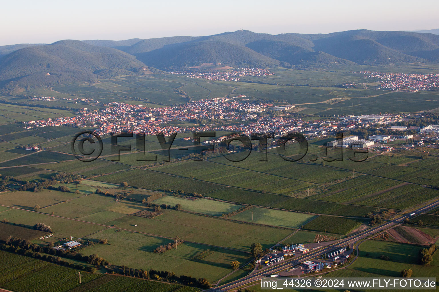 Vue aérienne de Champs agricoles et surfaces utilisables à Edenkoben dans le département Rhénanie-Palatinat, Allemagne