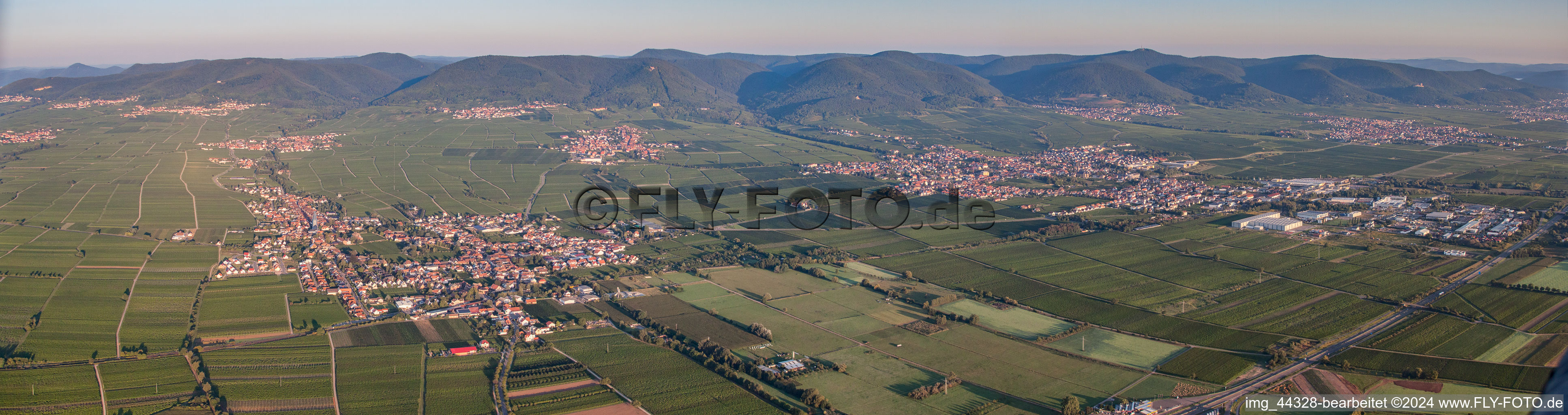 Vue aérienne de Perspective panoramique Edesheim et Edenkoben à Edenkoben dans le département Rhénanie-Palatinat, Allemagne