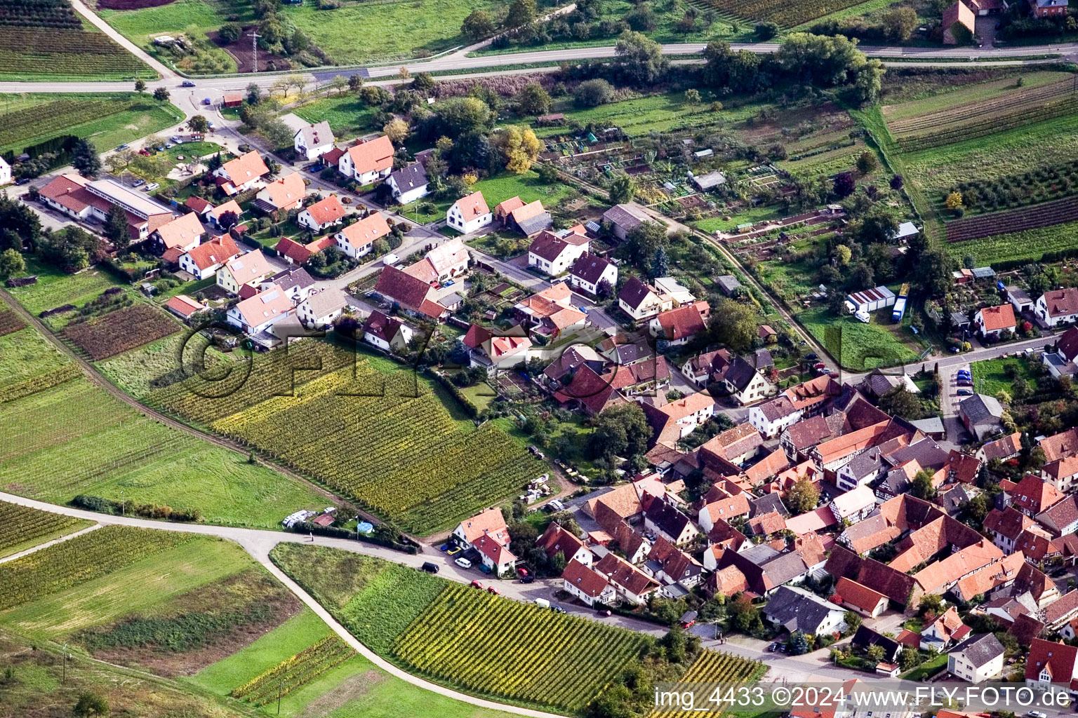 Vue aérienne de Cellules de suivi-Gleishohrbach à le quartier Gleishorbach in Gleiszellen-Gleishorbach dans le département Rhénanie-Palatinat, Allemagne