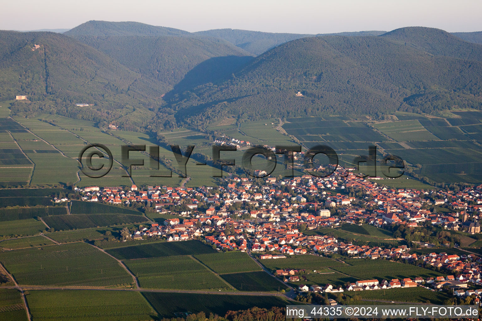 Photographie aérienne de Champs agricoles et surfaces utilisables à Edenkoben dans le département Rhénanie-Palatinat, Allemagne