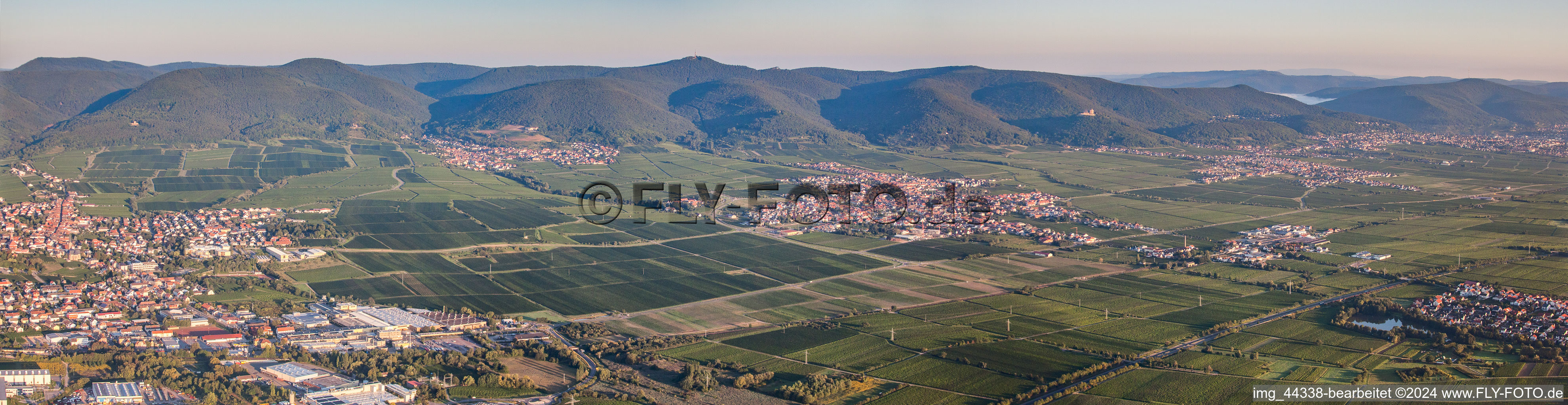 Vue aérienne de Paysage viticole en perspective panoramique des zones viticoles à Maikammer dans le département Rhénanie-Palatinat, Allemagne