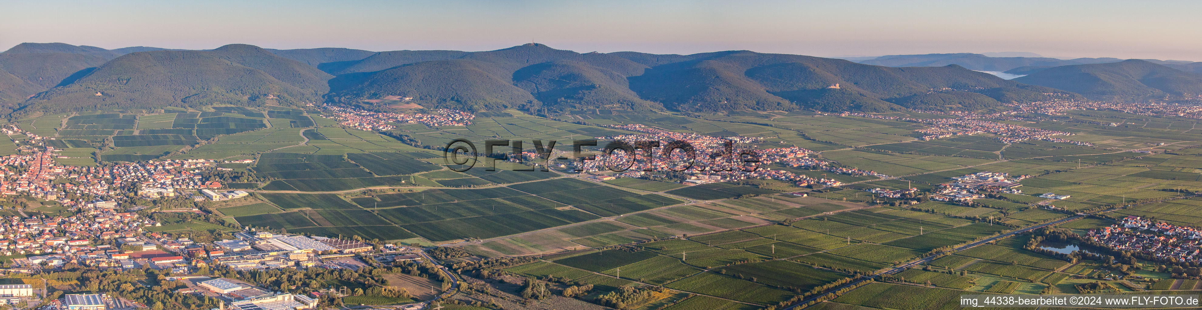 Vue aérienne de Paysage viticole en perspective panoramique des zones viticoles à Maikammer dans le département Rhénanie-Palatinat, Allemagne