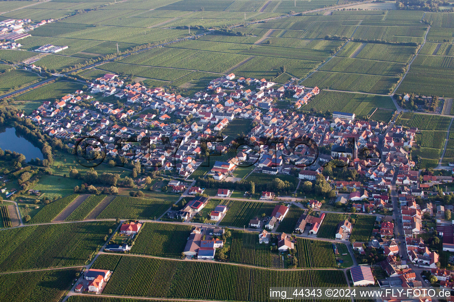 Kirrweiler dans le département Rhénanie-Palatinat, Allemagne d'un drone