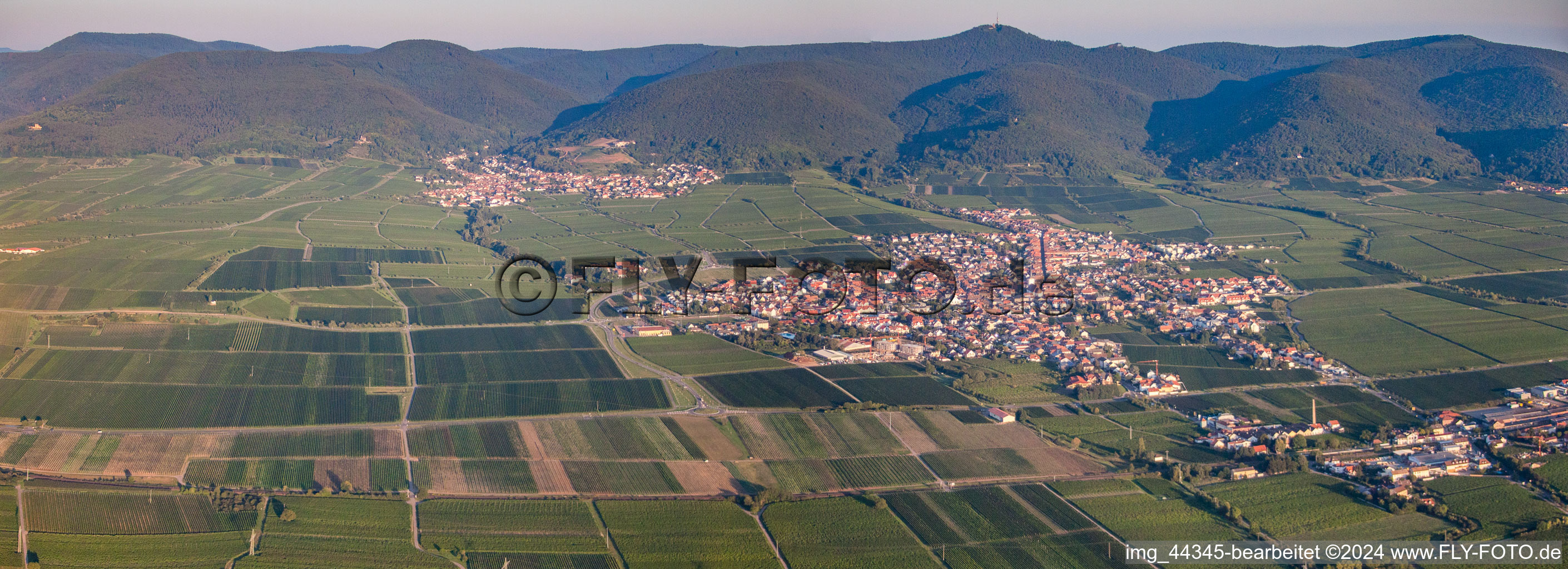 Vue oblique de Maikammer dans le département Rhénanie-Palatinat, Allemagne