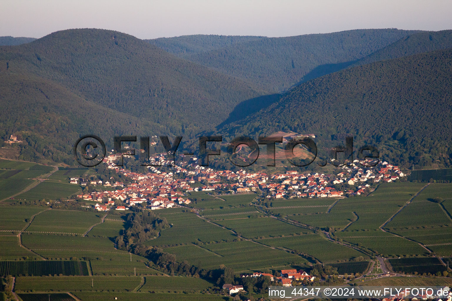 Saint-Martin à Sankt Martin dans le département Rhénanie-Palatinat, Allemagne vue du ciel