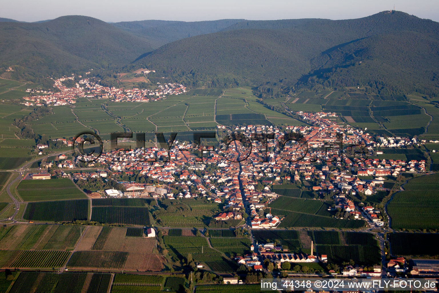 Vue aérienne de Vignobles à Maikammer dans le département Rhénanie-Palatinat, Allemagne