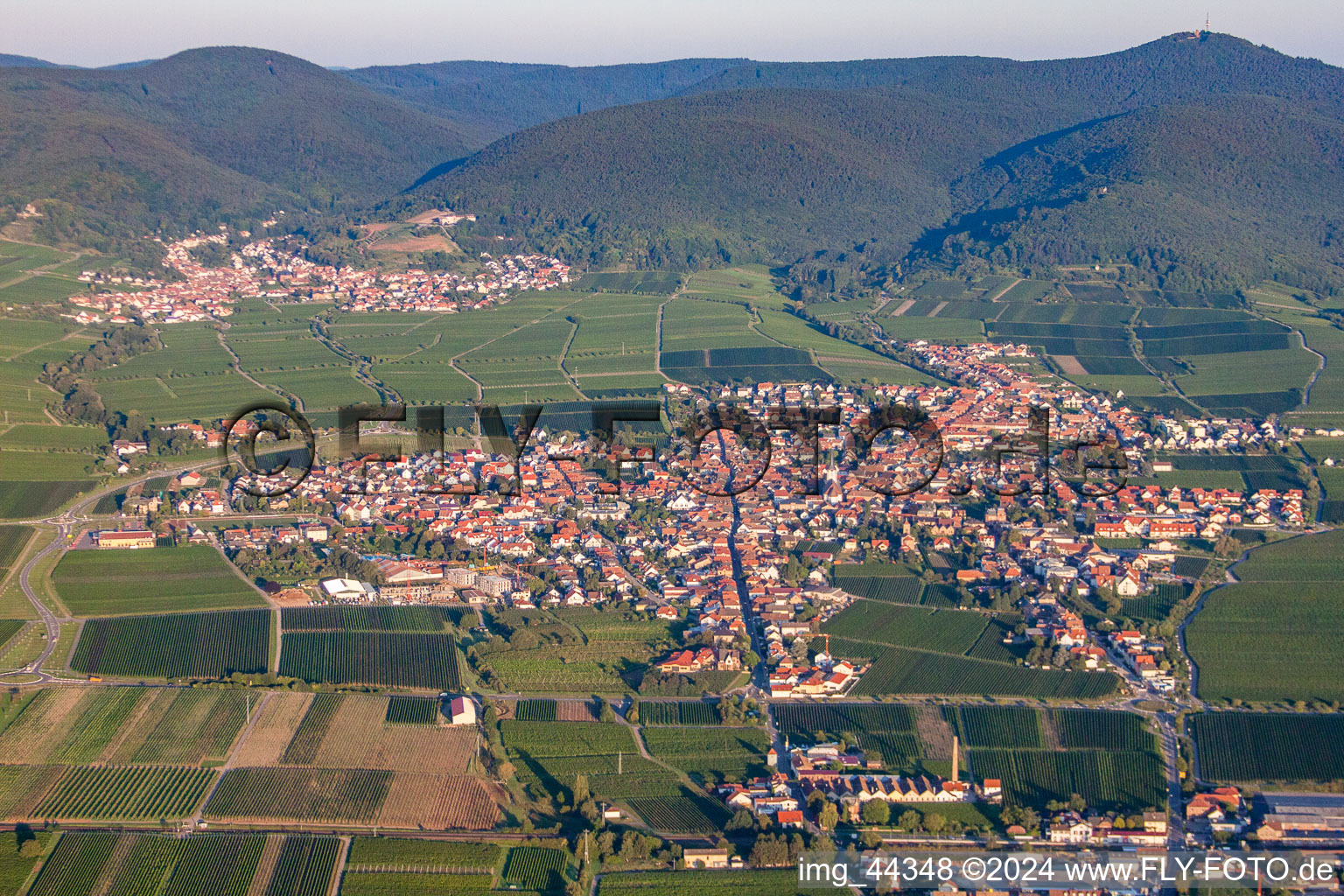 Vue aérienne de Vignobles à Maikammer dans le département Rhénanie-Palatinat, Allemagne