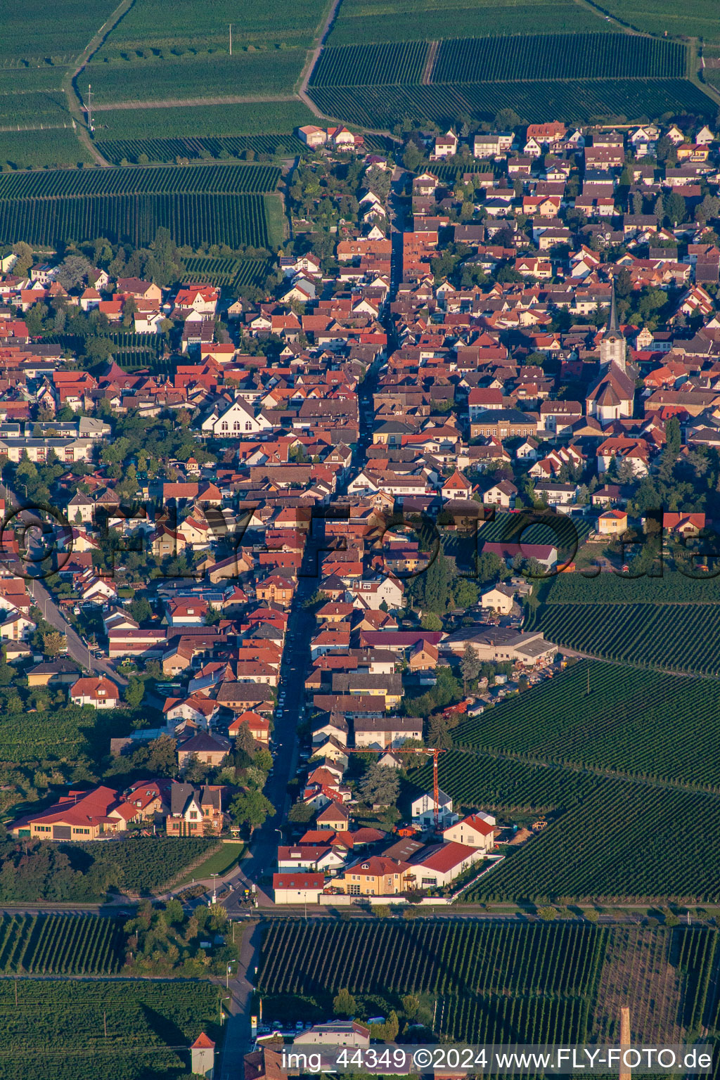 Vue oblique de Maikammer dans le département Rhénanie-Palatinat, Allemagne