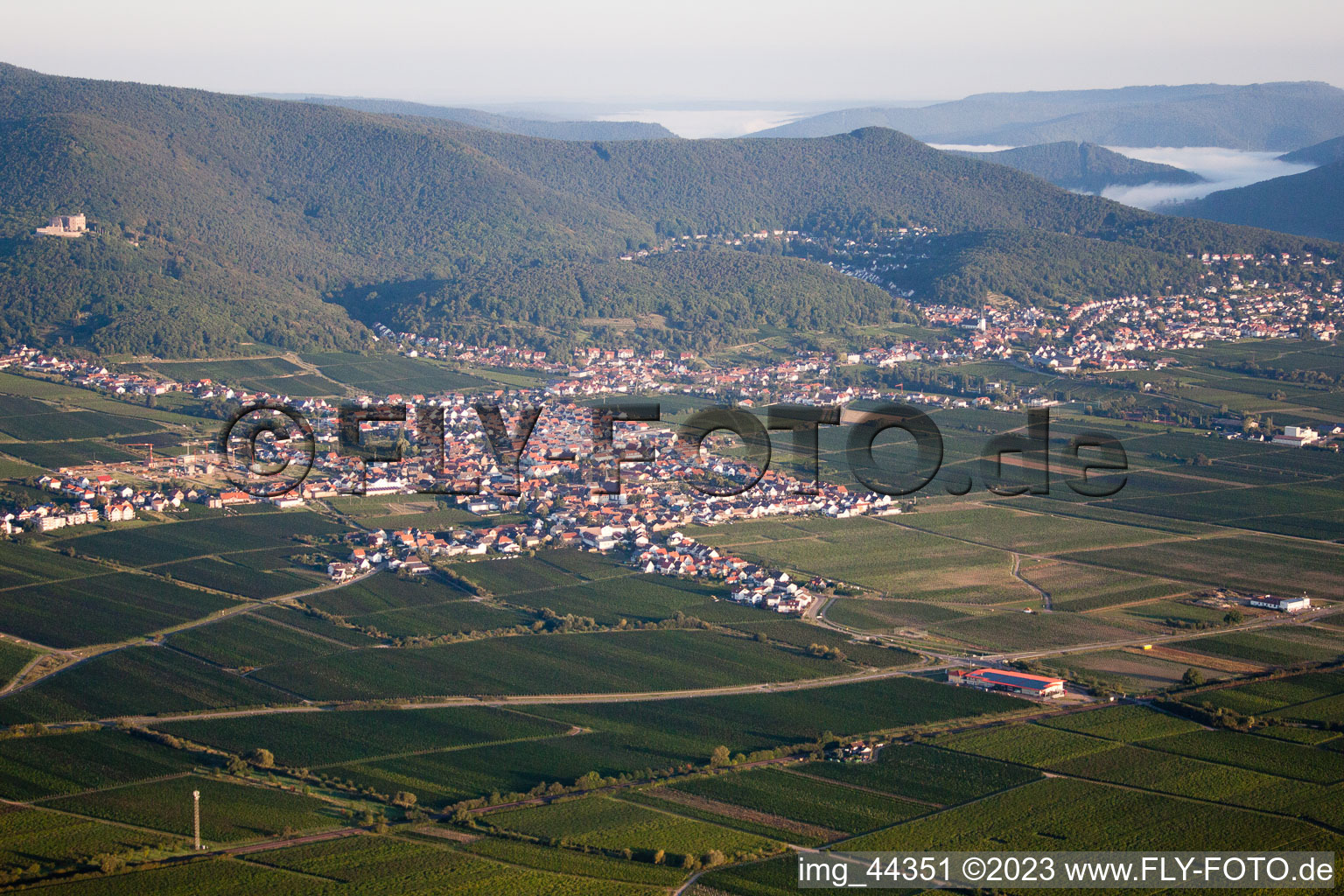 Quartier Diedesfeld in Neustadt an der Weinstraße dans le département Rhénanie-Palatinat, Allemagne du point de vue du drone