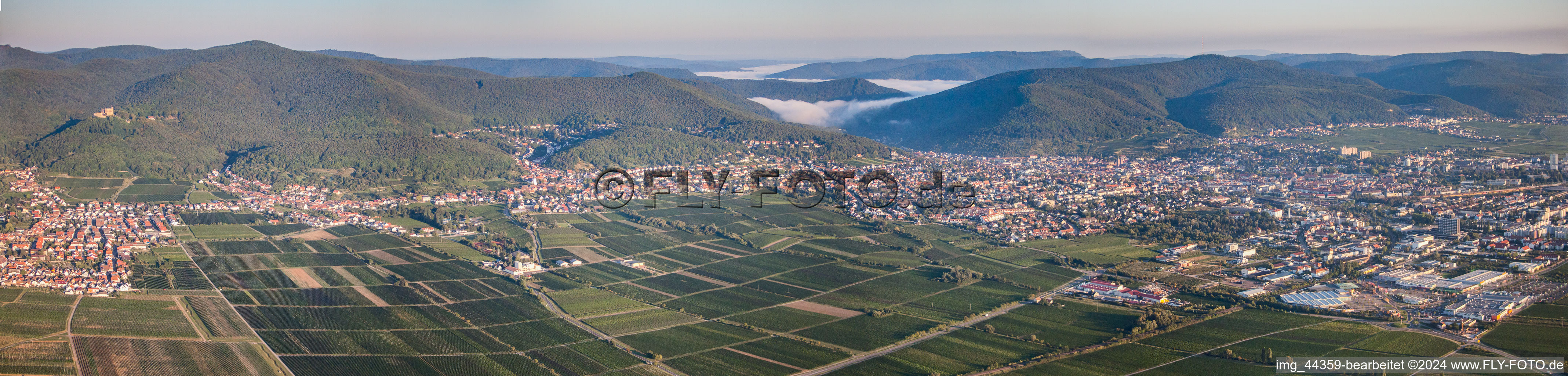 Vue aérienne de Panorama avec brouillard matinal de la région et des environs à Neustadt an der Weinstraße dans le département Rhénanie-Palatinat, Allemagne