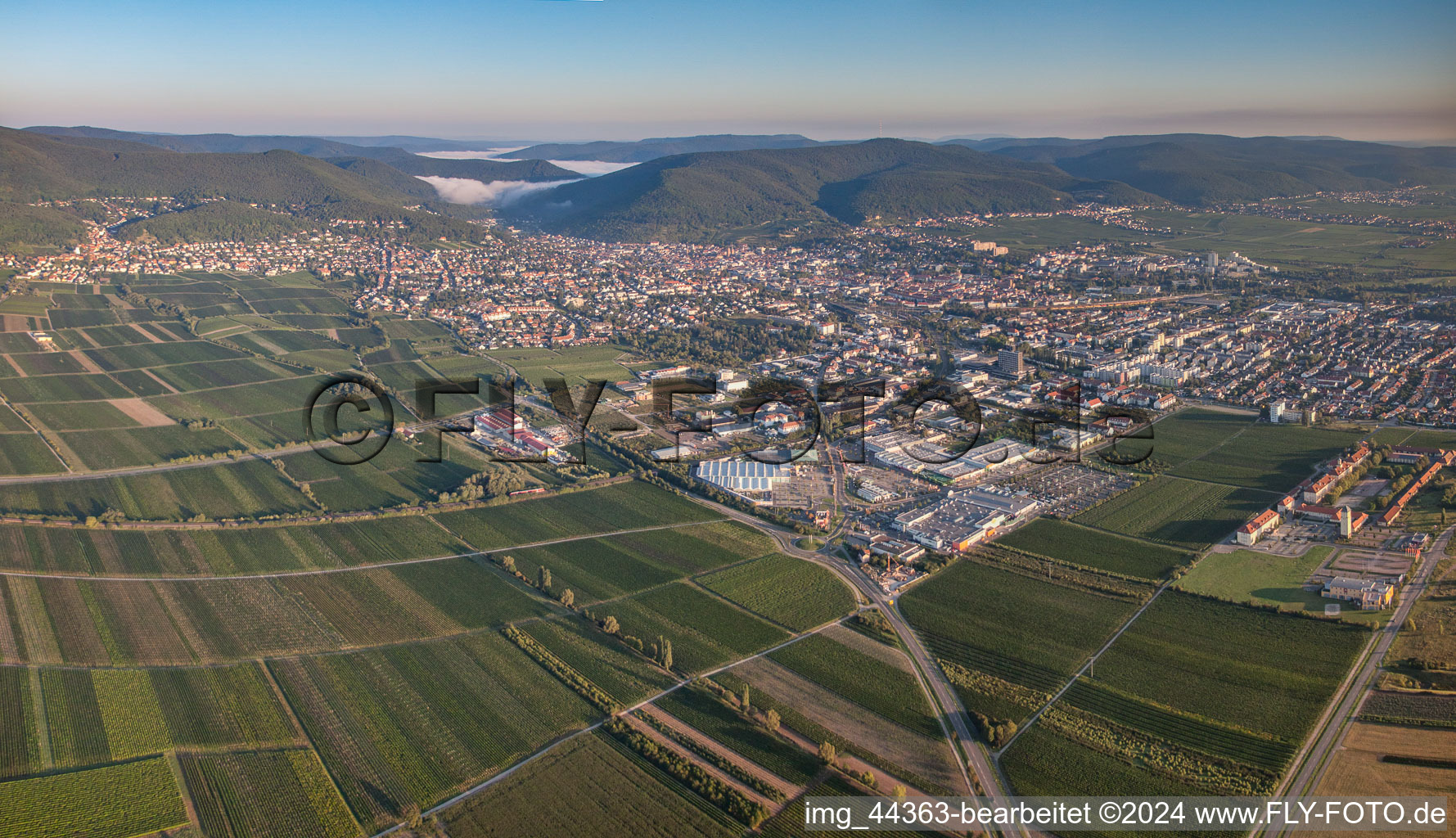 Vue aérienne de Panorama à Neustadt an der Weinstraße dans le département Rhénanie-Palatinat, Allemagne